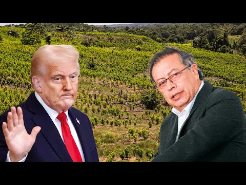 🔴EE. UU. descertifica a Colombia en la lucha antidrogas. dXmedio