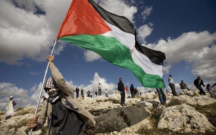 palestina-semilla-de-luz-en-la-sombra